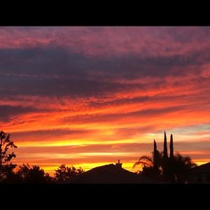 Meet your Posher, Melia